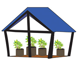 Greenhouse